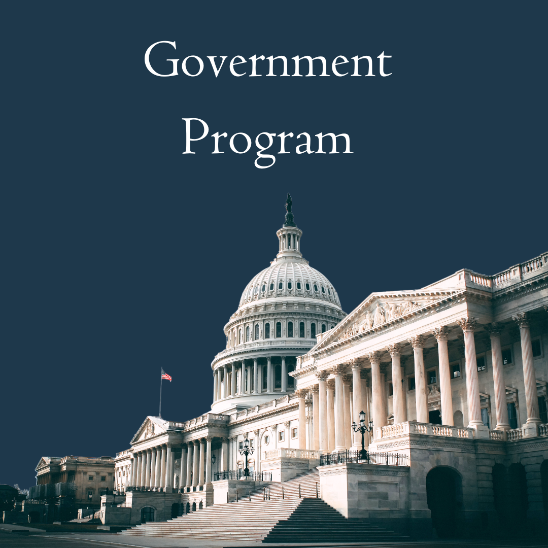 Government