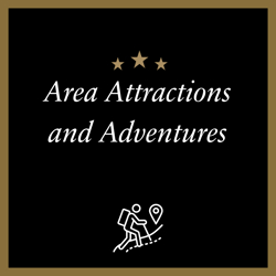 Area Adventures