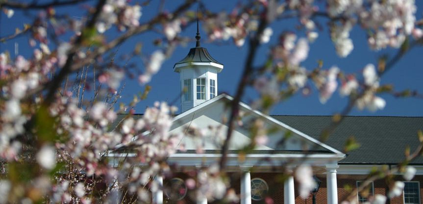 Founders in Spring blooms banner