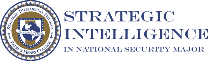 Strategic Intelligence Logo