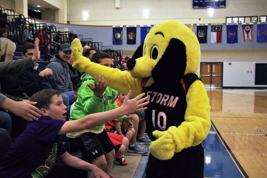 Virginia Storm mascot at a game at Patrick Henry College (PHC)