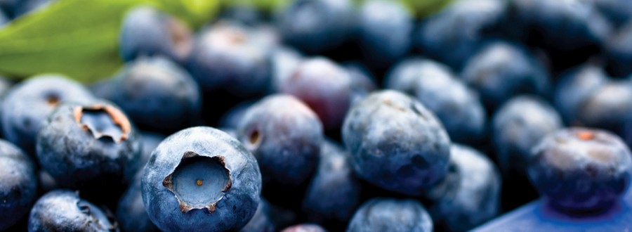 Blueberries.jpg
