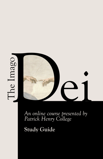 The Imago Dei Study Guide