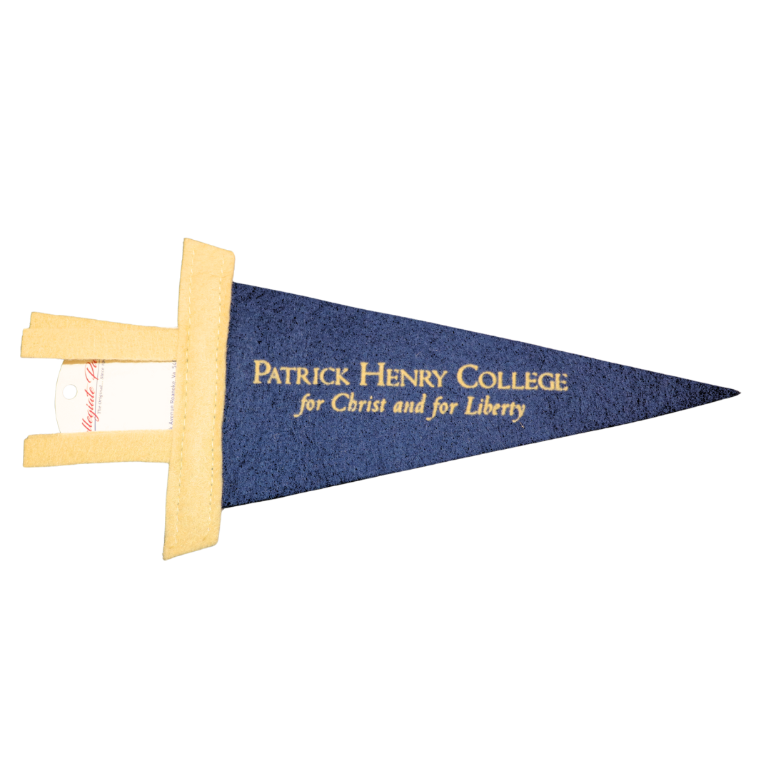 Mini Pennant