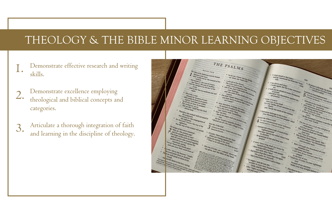 Minor Learning Objectives (2200 x 1422 px) (1)-1