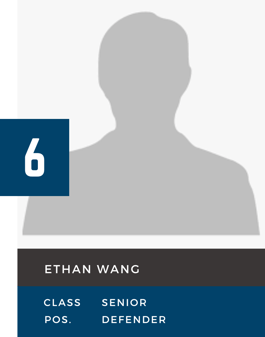 Wang graphic