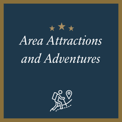 area attractions