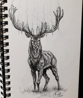 Rachel Grove Stag