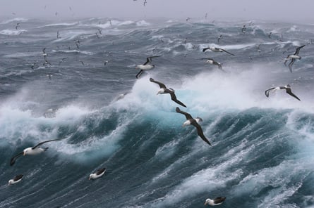 sea