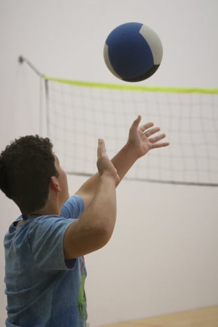 volleyball