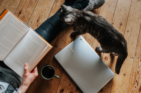 writing reading student